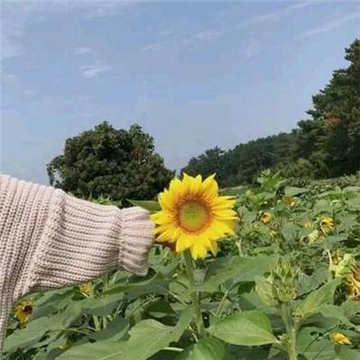 k3k游戏大厅最新版下载